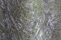 Wildwood fibreglass roof work